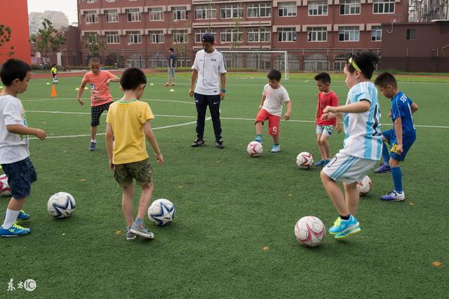 赵继伟24+12辽宁胜北控 王哲林31分上海胜四川